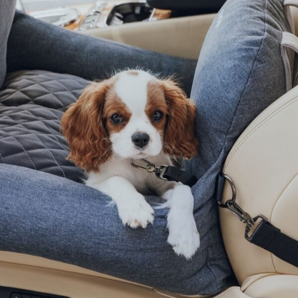 Premium Dog Car Bed - Image 2